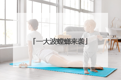 一大波螳螂来袭