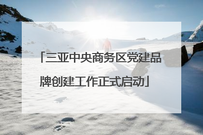 三亚中央商务区党建品牌创建工作正式启动
