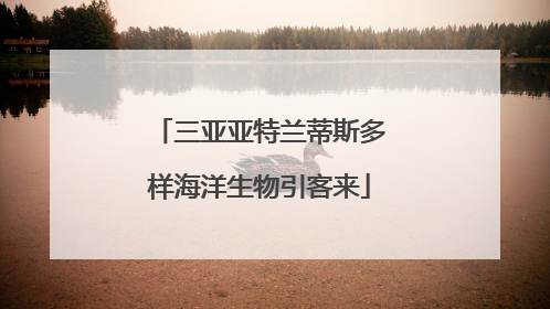 三亚亚特兰蒂斯多样海洋生物引客来