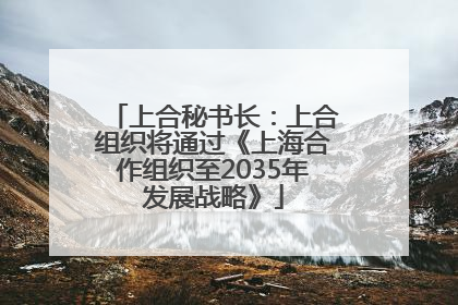上合秘书长：上合组织将通过《上海合作组织至2035年发展战略》