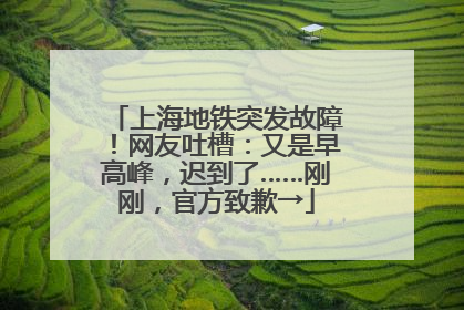 上海地铁突发故障！网友吐槽：又是早高峰，迟到了……刚刚，官方致歉→