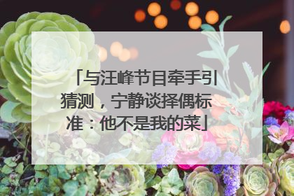 与汪峰节目牵手引猜测，宁静谈择偶标准：他不是我的菜