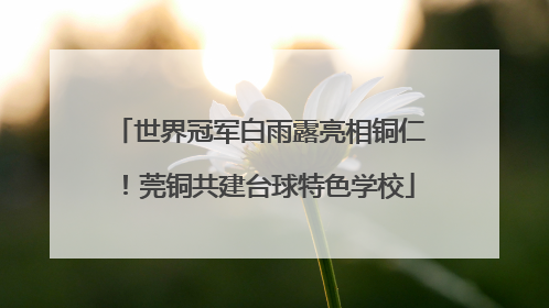 世界冠军白雨露亮相铜仁！莞铜共建台球特色学校