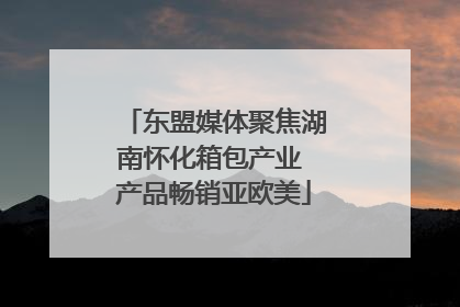 东盟媒体聚焦湖南怀化箱包产业 产品畅销亚欧美