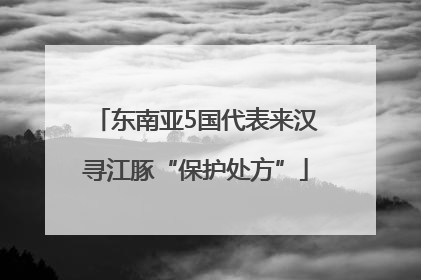 东南亚5国代表来汉寻江豚“保护处方”