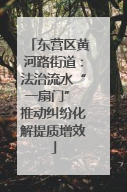 东营区黄河路街道：法治流水“一扇门” 推动纠纷化解提质增效
