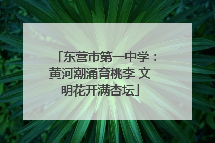 东营市第一中学：黄河潮涌育桃李 文明花开满杏坛