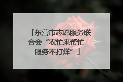 东营市志愿服务联合会“农忙来帮忙 服务不打烊”