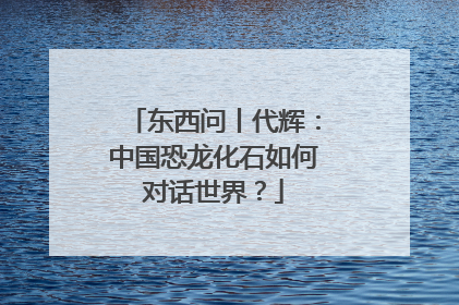 东西问丨代辉：中国恐龙化石如何对话世界？