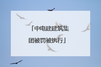 中电建建筑集团被罚被执行