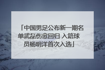 中国男足公布新一期名单武磊伤愈回归 入籍球员杨明洋首次入选