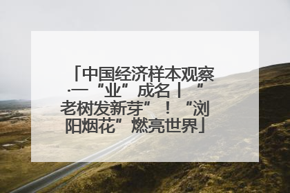 中国经济样本观察·一“业”成名丨“老树发新芽”！“浏阳烟花”燃亮世界