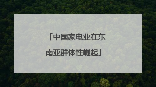 中国家电业在东南亚群体性崛起
