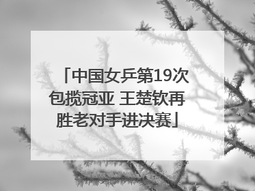 中国女乒第19次包揽冠亚 王楚钦再胜老对手进决赛