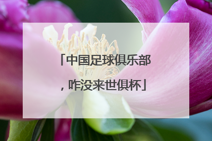 中国足球俱乐部，咋没来世俱杯