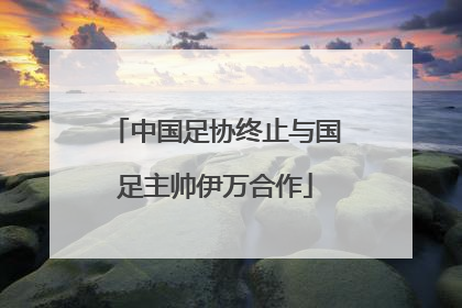 中国足协终止与国足主帅伊万合作