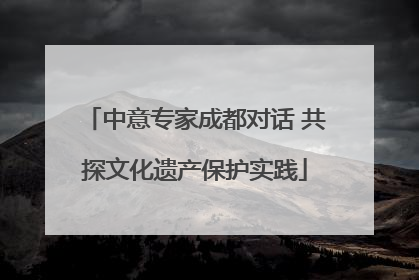 中意专家成都对话 共探文化遗产保护实践