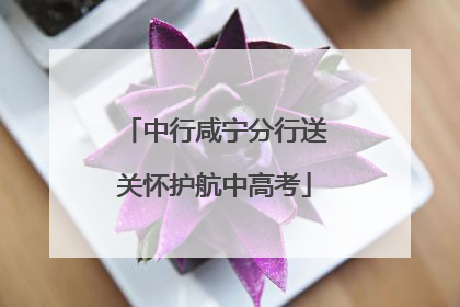 中行咸宁分行送关怀护航中高考