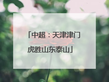 中超：天津津门虎胜山东泰山