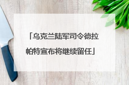 乌克兰陆军司令德拉帕特宣布将继续留任