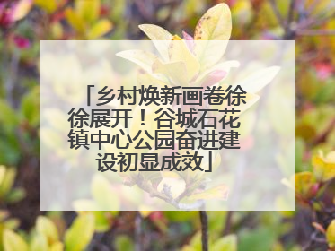 乡村焕新画卷徐徐展开！谷城石花镇中心公园奋进建设初显成效