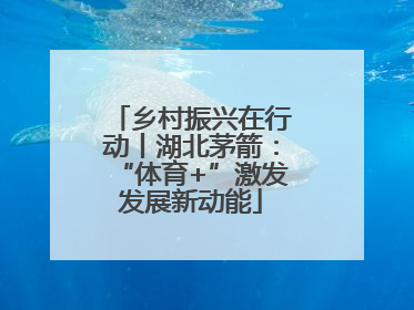 乡村振兴在行动丨湖北茅箭：“体育+”激发发展新动能