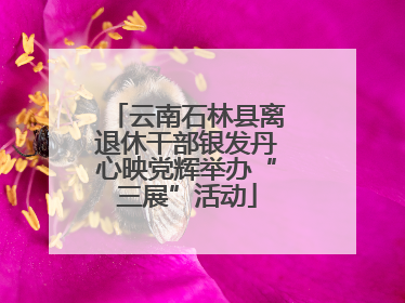 云南石林县离退休干部银发丹心映党辉举办“三展”活动