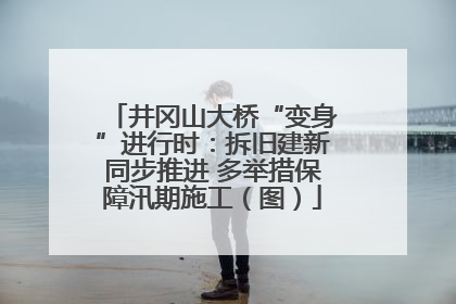 井冈山大桥“变身”进行时：拆旧建新同步推进 多举措保障汛期施工（图）