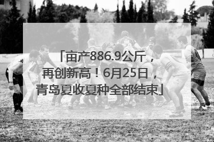 亩产886.9公斤，再创新高！6月25日，青岛夏收夏种全部结束