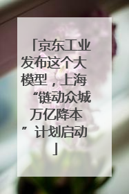 京东工业发布这个大模型，上海“链动众城 万亿降本”计划启动