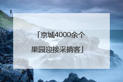 京城4000余个果园迎接采摘客