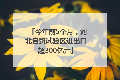 今年前5个月，河北自贸试验区进出口超300亿元