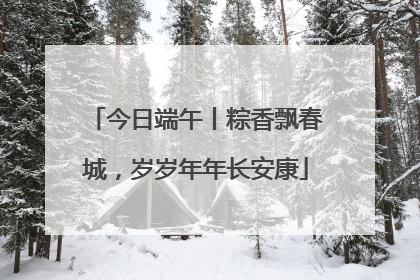今日端午丨粽香飘春城，岁岁年年长安康