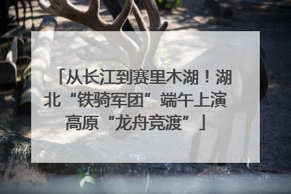 从长江到赛里木湖！湖北“铁骑军团”端午上演高原“龙舟竞渡”