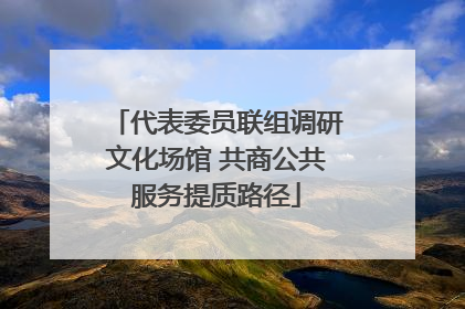 代表委员联组调研文化场馆 共商公共服务提质路径