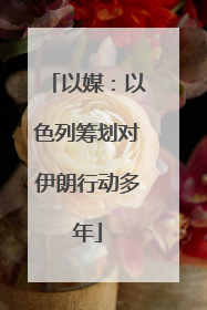 以媒：以色列筹划对伊朗行动多年