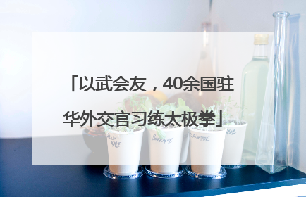 以武会友，40余国驻华外交官习练太极拳