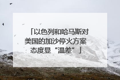 以色列和哈马斯对美国的加沙停火方案态度显“温差”