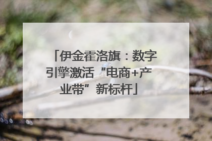 伊金霍洛旗：数字引擎激活“电商+产业带”新标杆