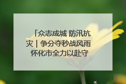 众志成城 防汛抗灾｜争分夺秒战风雨 怀化市全力以赴守护人民群众安全