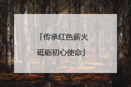 传承红色薪火 砥砺初心使命