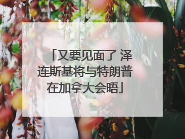 又要见面了 泽连斯基将与特朗普在加拿大会晤