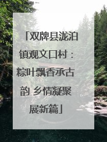 双牌县泷泊镇观文口村：粽叶飘香承古韵 乡情凝聚展新篇