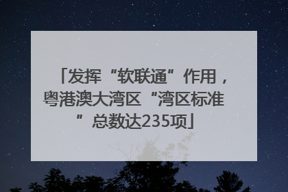 发挥“软联通”作用，粤港澳大湾区“湾区标准”总数达235项