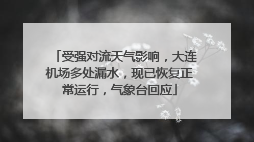 受强对流天气影响,大连机场多处漏水,现已恢复正常运行,气象台回应