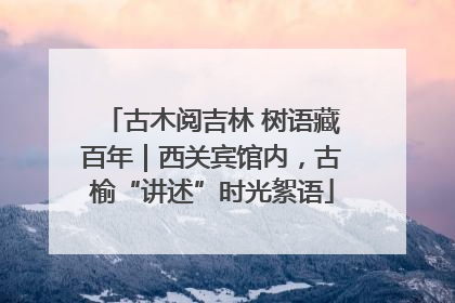 古木阅吉林 树语藏百年｜西关宾馆内，古榆“讲述”时光絮语