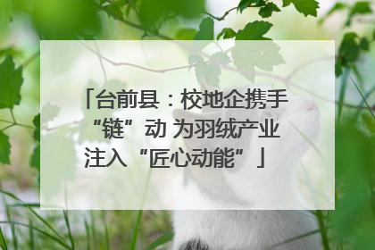 台前县：校地企携手“链”动 为羽绒产业注入“匠心动能”