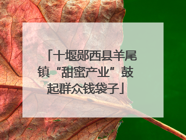 十堰郧西县羊尾镇“甜蜜产业”鼓起群众钱袋子