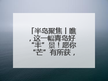 半岛聚焦丨瞧，这一幅青岛好“丰”景！愿你“芒”有所获，“种”有所得