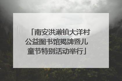南安洪濑镇大洋村公益图书馆揭牌暨儿童节特别活动举行